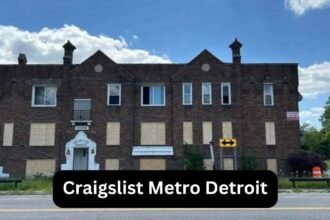 craigslist metro detroit