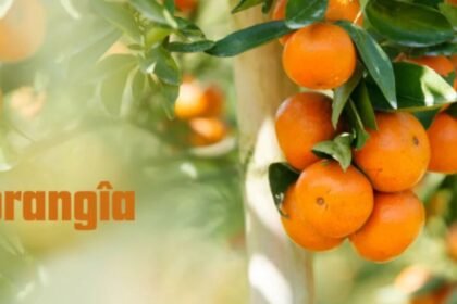 Orangîa