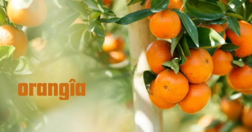 Orangîa