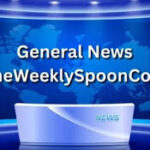 theweeklyspooncom news